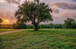 11755 Puddin Lane, Washington, TX 77880