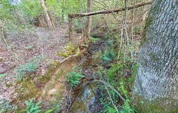 COUNTY ROAD 28, LAFAYETTE, AL 36862