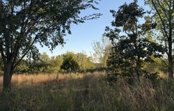 Birch Road, Joplin, MO 64804