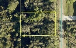 711 Glenn Avenue, Lehigh Acres, FL 33972