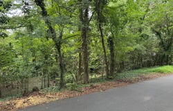 Turnbull Drive, Rome, GA 30161