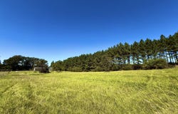 206 Barker Road, Morton, MS 39117