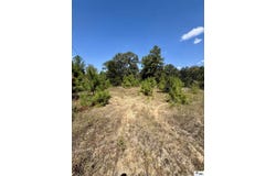 249 KAISER ROAD, Castor, LA 71016