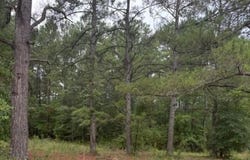 402 State Rd S-6-537, Barnwell, SC 29812
