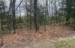 Entry Road lot: 10, Ridgedale, MO 65739