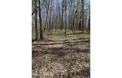 9508 KY-86, Irvington, KY 40146