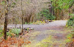 E King Rd, McKenzieBridge, OR 97413