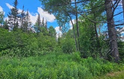 BAADE RD lot: 4, Monico, WI 54501