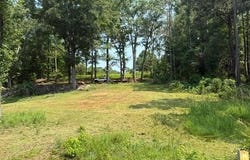 1051 PATRICK Street, WAVERLY, AL 36879