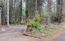 Russell Dr, Florence, OR 97439