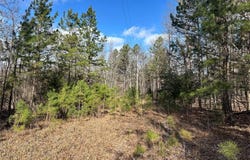 Highway 72, Bunker, MO 63629