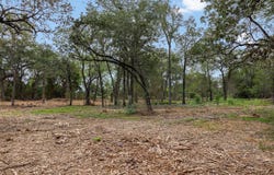 CR 491 lot: 1, Elgin, TX 78621