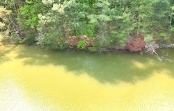 Holly Harbor Road lot: 70N, REEDVILLE, VA 22539