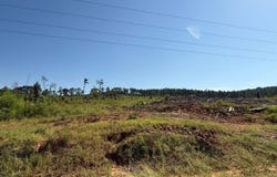 Pate Road, Tremont, MS 38876