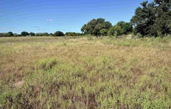 Buffalo Spring Circle, Valley Spring, TX 76885