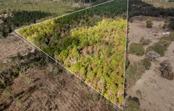 Hwy 11, Moselle, MS 39459