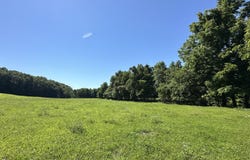 443 Marsha Road, Billings, MO 65610