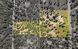 2-D-31 Snowline Dr., McCloud, CA 96057