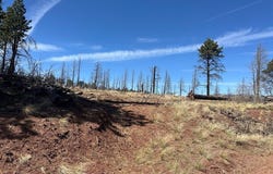 Forbes Pk lot: 542, Fort Garland, CO 81133