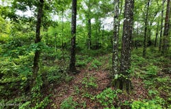 6936 Hillsboro-ludlow Road, Forest, MS 39074