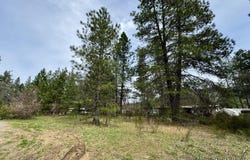 N Old Stage Road, Cave Junction, OR 97523