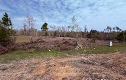 N 15th St, Mexico Beach, FL 32456