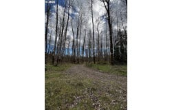 130 HORSESHOE BEND, Kelso, WA 98626