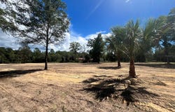 7731 NE 97TH Court, BRONSON, FL 32621
