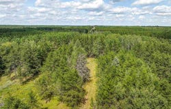 Tract C Hwy 21, Babbitt, MN 55706