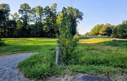 HWY 63, Rison, AR 71665
