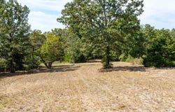 36 Marine Dr, Clarkridge, AR 72623