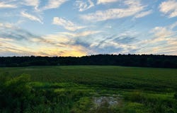 207 CR 478, Rector, AR 72461