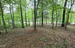 Keating Loop lot: 8, Crossville, TN 38555