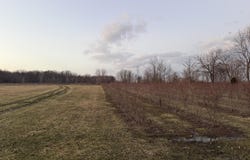 73122 36th Avenue, Covert, MI 49043