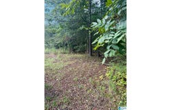7526 CAHABA AVENUE lot: 9/1, LEEDS, AL 35094