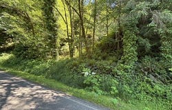 Sweet Creek Road, Mapleton, OR 97453