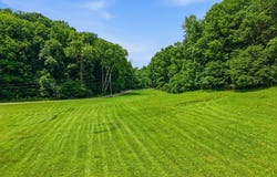 1639 Eucalyptus Dr, Byrdstown, TN 38549