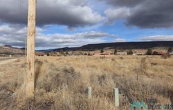 Golden Willow, Grants, NM 87020