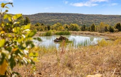 86 Lots Round Mountain Estates, Harrison, AR 72601