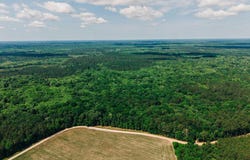 Parnel Road, Cope, SC 29038