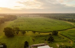 5492 Cedar Lane, Reeds, MO 64859