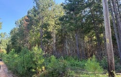 124 Hawkin Rd., Dozier, AL 36028