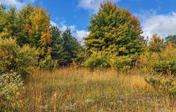 Parcel 4 E Darga Road, Cedar, MI 49621