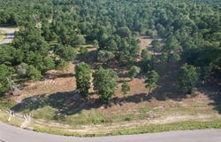 3145 Shadow Pine Drive, Larue, TX 75770