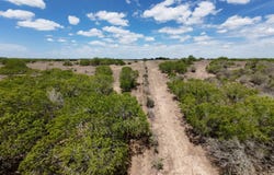 FM 534, Sandia, TX 78383