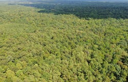 700 Front Road, Bolivar, TN 38725