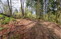 NE FINALBURG Rd, LaCenter, WA 98629