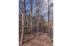 2 Riverview Forest Drive, Marion, NC 28752