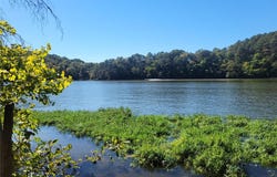 Private Road 2704, London, AR 72847