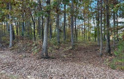 LOT 9 RAINBOW RIDGE, BUMPASS, VA 23024